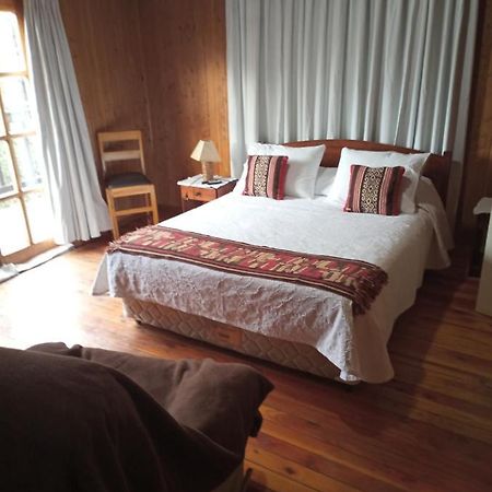 Omi Kika B&B Villarrica Exterior foto