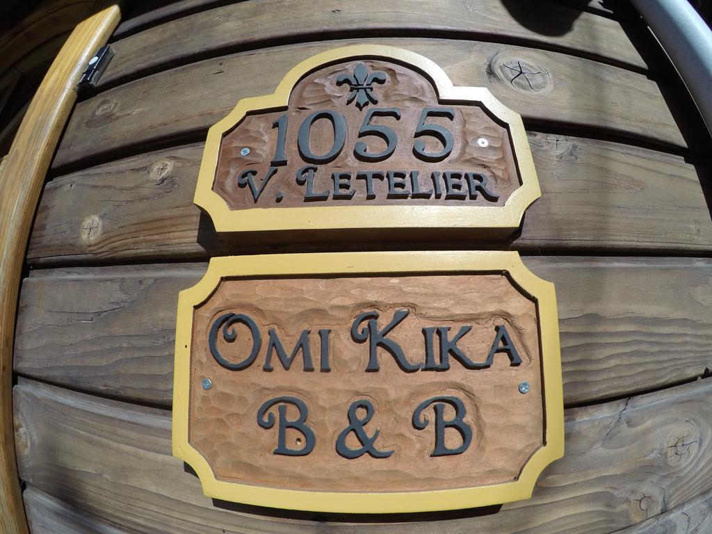 Omi Kika B&B Villarrica Exterior foto
