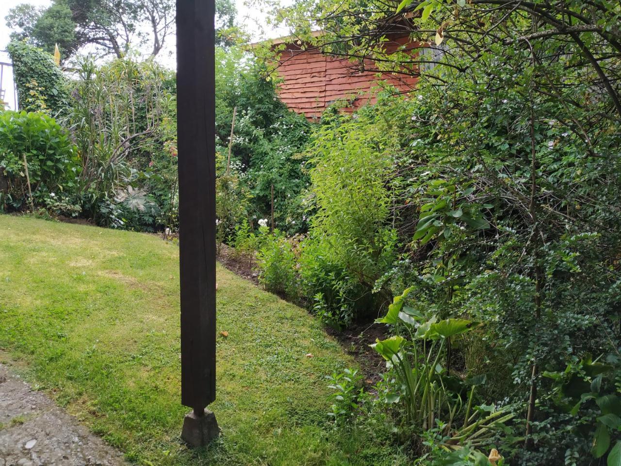 Omi Kika B&B Villarrica Exterior foto