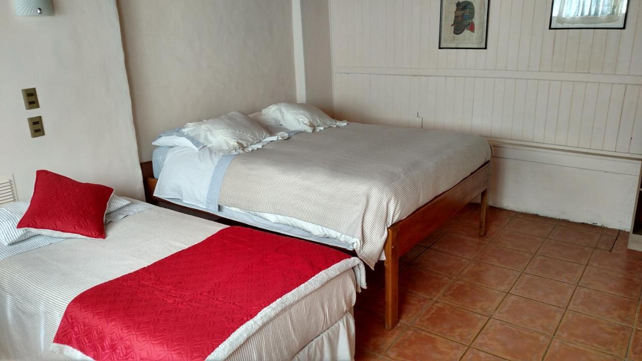 Omi Kika B&B Villarrica Exterior foto